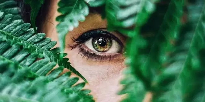 Vision and exercises to restore vision